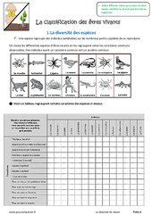 Classification des êtres vivants - Exercices : 6eme Primaire - PDF à imprimer