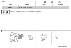 Classer par taille - Grandeurs : 1ere, 2eme Maternelle - Cycle Fondamental - PDF à imprimer