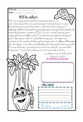 Exercice Situations problèmes - Ce2 - Petites histoires imaginaires - PDF à imprimer