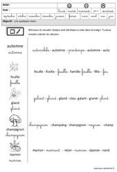 Automne - Lire des mots en cursive : 3eme Maternelle - Cycle Fondamental - PDF à imprimer