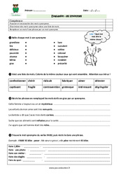 Synonymes - Examen Evaluation - Bilan : 5eme Primaire - PDF à imprimer
