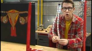 Reproduction Humaine - Vidéos pédagogiques - Le corps humain et l’éducation à la santé - Sciences : 3eme, 4eme, 5eme Primaire