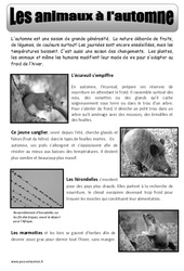 Les animaux à l'automne - Texte documentaire - Automne : 3eme, 4eme, 5eme Primaire - PDF à imprimer