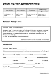 Le Félin, agent secret médiéval - Dictée préparée 8 - A trous : 4eme Primaire - Cycle 3 - PDF à imprimer