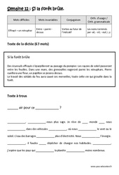 Si la forêt brûle - Dictée préparée 12 - A trous : 4eme Primaire - Cycle 3 - PDF à imprimer