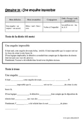 Une enquête impossible - Dictée préparée 14 - A trous : 4eme Primaire - Cycle 3 - PDF à imprimer
