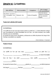 Le baleineau - Dictée préparée 16 - A trous : 4eme Primaire - Cycle 3 - PDF à imprimer