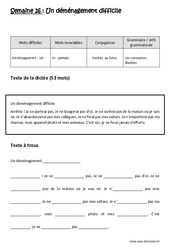 Verbes  au futur - Les consonnes doubles - Dictée préparée - A trous : 3eme Primaire - PDF à imprimer