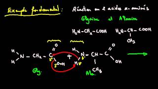 Vidéo Atomes dans la réaction chimique - Vidéos pédagogiques - Physique - Chimie : 2eme Secondaire