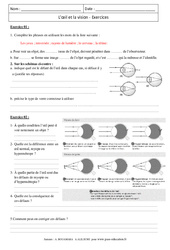 Œil - Vision - Exercices corrigés - Physique - Chimie : 2eme Secondaire - PDF à imprimer