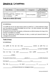 Le baleineau - Verbes à l’imparfait - Ecrire les noms et adjectifs se terminant par une consonne muette - Dictée préparée - A trous : 5eme Primaire - Cycle 3 - PDF à imprimer