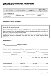 Un drôle de petit homme - Verbes à l’imparfait - Adjectifs de couleur - Dictée préparée - A trous : 5eme Primaire - Cycle 3 - PDF à imprimer