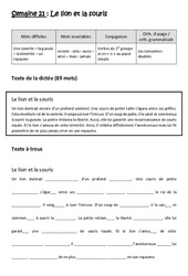 Exercice Le lion et la souris - Verbes du 1er groupe et en - ir - au passé simple - Consonnes doubles - Dictée préparée - A trous : 5eme Primaire - PDF à imprimer