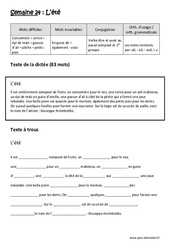 L'été - Verbe être et avoir au passé composé et 1er groupe - Noms terminés par - ail, - eil, - euil, i, y - Dictée préparée - A trous : 5eme Primaire - Cycle 3 - PDF à imprimer