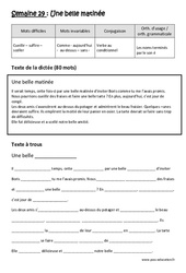 Une belle matinée - Verbe au conditionnel - Noms terminés par le son é - Dictée préparée - A trous : 5eme Primaire - Cycle 3 - PDF à imprimer