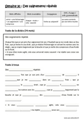 Des saignements répétés - Verbe au subjonctif - Noms terminés par une lettre muette - Dictée préparée - A trous : 5eme Primaire - Cycle 3 - PDF à imprimer
