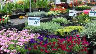 Occupation d’un milieu au cours des saisons - Vidéos pédagogiques - SVT : 6eme Primaire