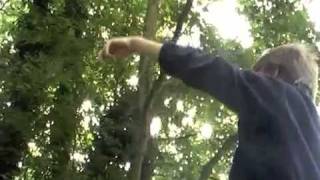 Caractéristiques de notre environnement - Vidéos pédagogiques - SVT : 6eme Primaire