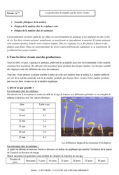 Production de matière par les êtres vivants - Cours - SVT : 6eme Primaire - PDF à imprimer