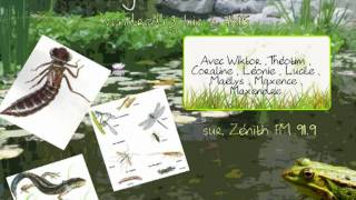 Transformation de la matière dans le sol - Vidéos pédagogiques - SVT : 6eme Primaire