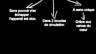Rôle de la circulation sanguine dans le fonctionnement de l'organisme - Vidéos pédagogiques - SVT : 1ere Secondaire
