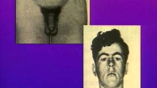 Communication hormonale - Vidéos pédagogiques - SVT : 2eme Secondaire