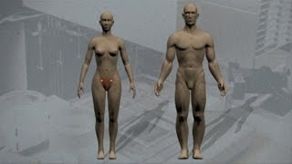 De la fécondation à la naissance - Vidéos pédagogiques - SVT : 2eme Secondaire