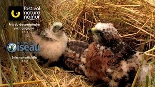 Reproduction sexuée - Conditions des milieux de vie - Vidéos pédagogiques - SVT : 2eme Secondaire