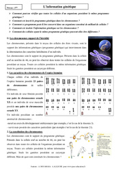 Information génétique - Cours - SVT : 3eme Secondaire
