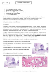 Evolution des êtres vivants - Cours - SVT : 3eme Secondaire - PDF à imprimer