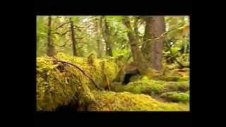 Evolution des êtres vivants - Vidéos pédagogiques - SVT : 3eme Secondaire