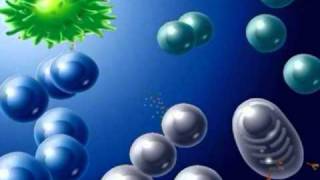 Risques infectieux et protection de l'organisme - Vidéos pédagogiques - SVT : 3eme Secondaire