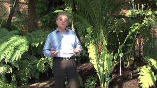 Vidéo Evolution biologique et environnement - Vidéos pédagogiques - SVT : 3eme Secondaire