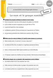 Reconnaitre les noms et les groupes nominaux - Exercices avec correction : 5eme Primaire - PDF à imprimer