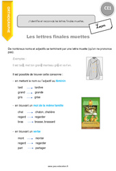 Identifier et reconnaitre les lettres finales muettes - Cours, Leçon : 2eme Primaire - PDF à imprimer