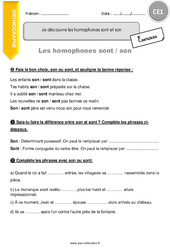 Comment découvrir les homophones sont et son - Exercices avec correction : 2eme Primaire - PDF à imprimer
