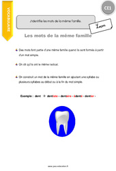 Identifier les mots de la même famille - Cours, Leçon : 2eme Primaire - PDF à imprimer