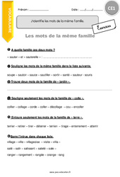 Identifier les mots de la même famille - Exercices avec correction : 2eme Primaire - PDF à imprimer